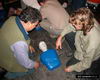 Tit.: Charlar RCP práctica - Lugar: Vuelo Libre Hostel - Autor: Ale Spitznagel