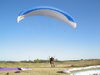 Tit.: Ale aterrizando - Lugar: Aero. de Longchamps - Autor: Adry