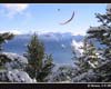Tit.: Looping en el Piltri - Lugar: Cerro Piltriquitrón - Autor: Lechu