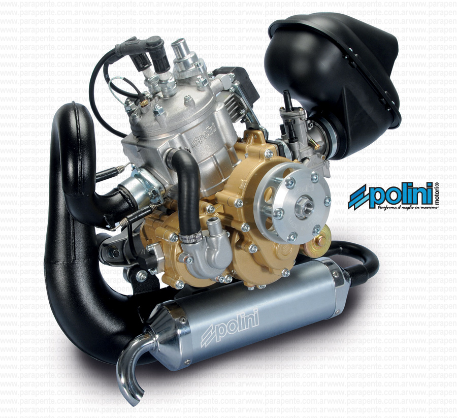 Polini Thor 250 Dual Spark